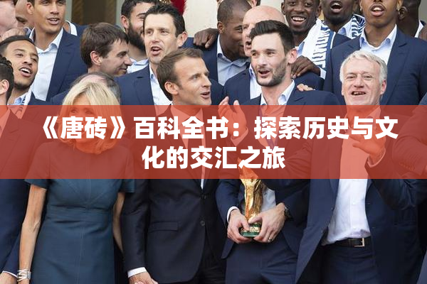 《唐砖》百科全书：探索历史与文化的交汇之旅