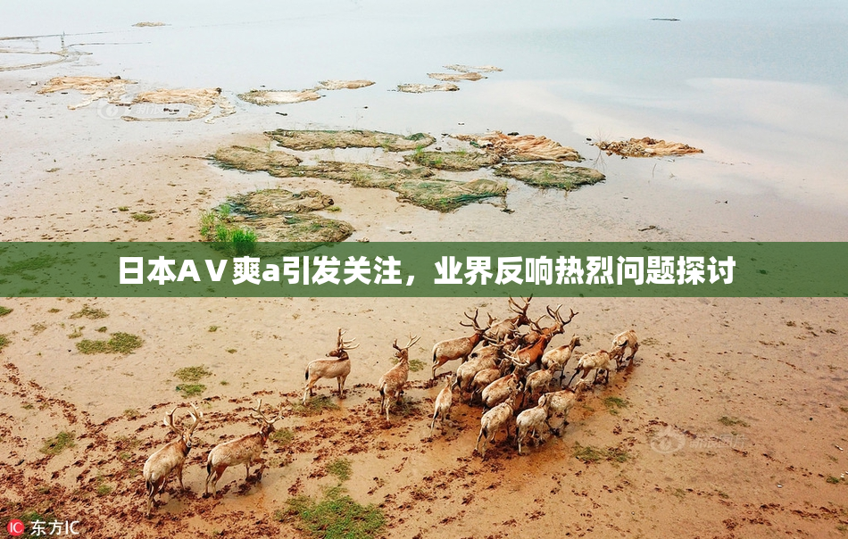 日本AⅤ爽a引发关注，业界反响热烈问题探讨