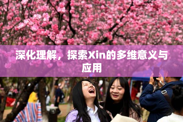 深化理解，探索Xin的多维意义与应用