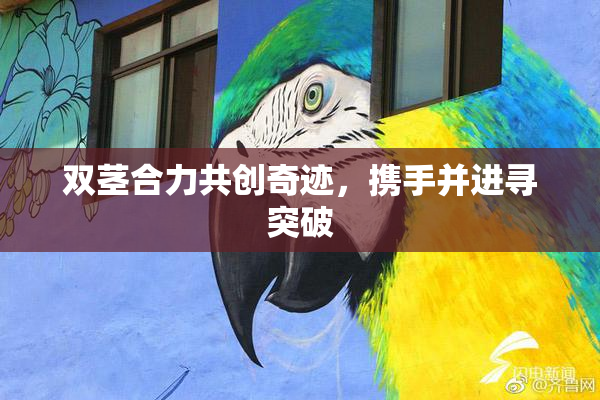 双茎合力共创奇迹，携手并进寻突破