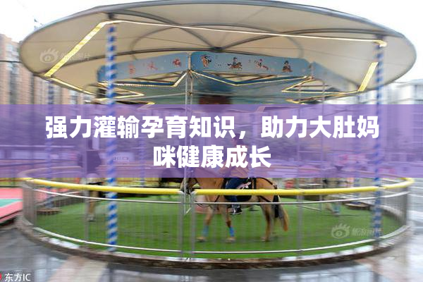 强力灌输孕育知识，助力大肚妈咪健康成长