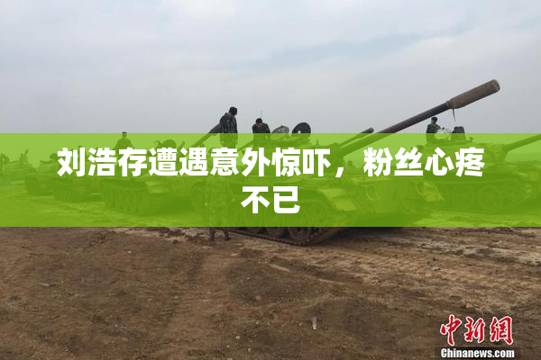 刘浩存遭遇意外惊吓，粉丝心疼不已