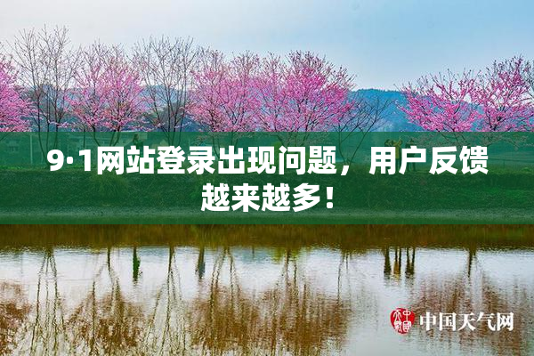 9·1网站登录出现问题，用户反馈越来越多！
