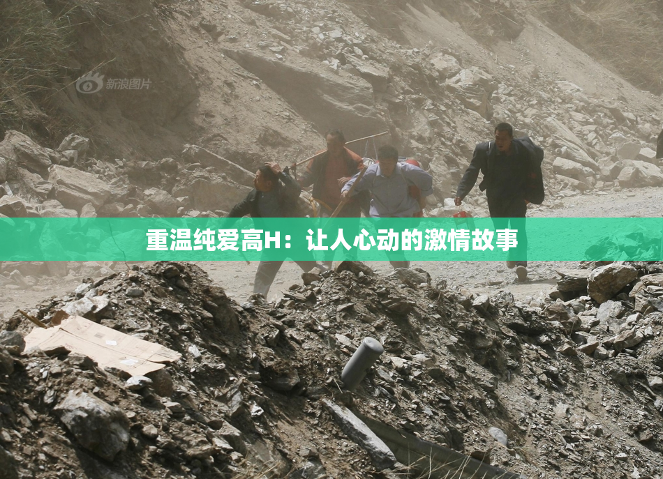 重温纯爱高H：让人心动的激情故事