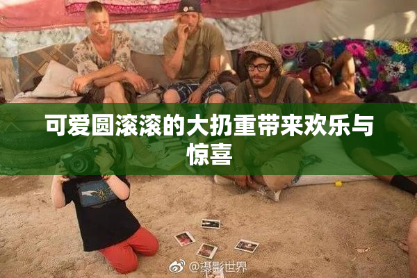 可爱圆滚滚的大扔重带来欢乐与惊喜