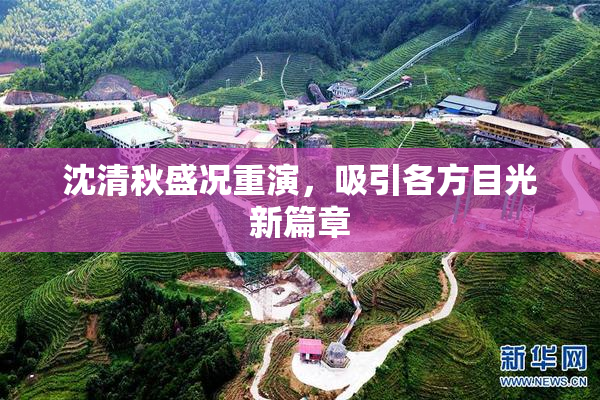 沈清秋盛况重演，吸引各方目光新篇章