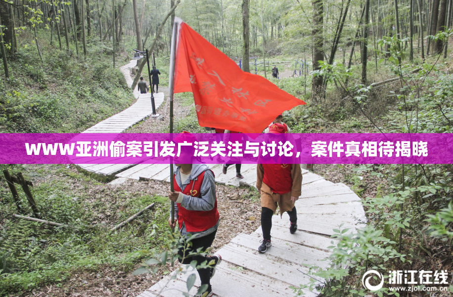 WWW亚洲偷案引发广泛关注与讨论，案件真相待揭晓