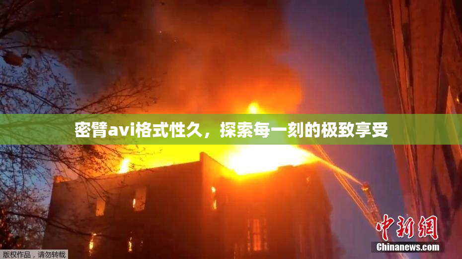 密臂avi格式性久，探索每一刻的极致享受