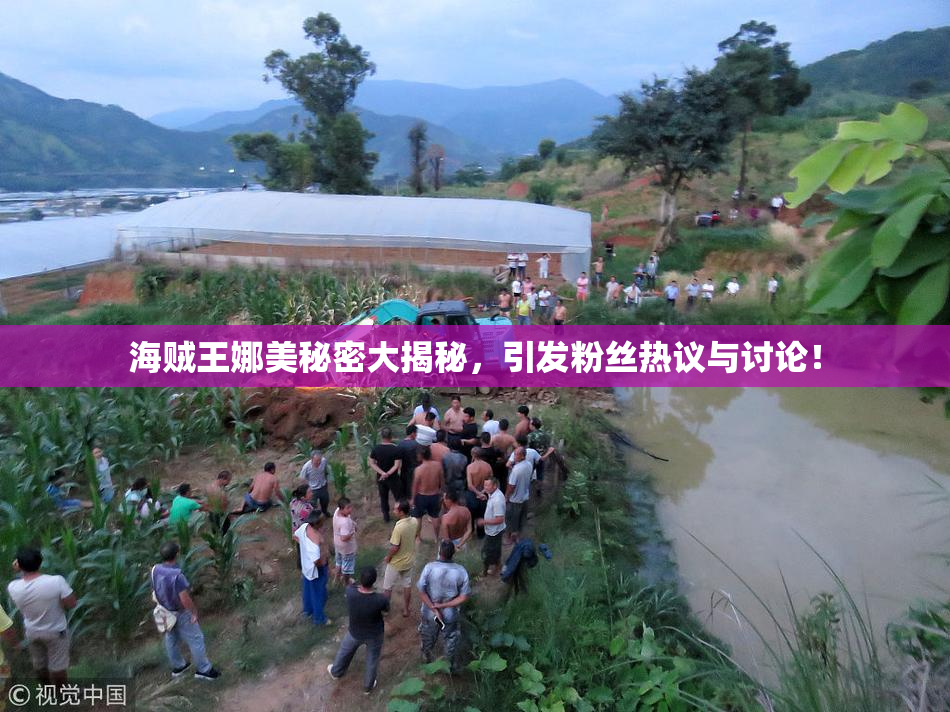 海贼王娜美秘密大揭秘，引发粉丝热议与讨论！