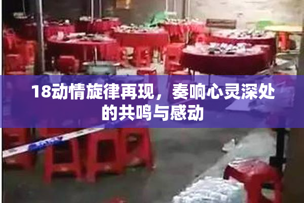 18动情旋律再现，奏响心灵深处的共鸣与感动