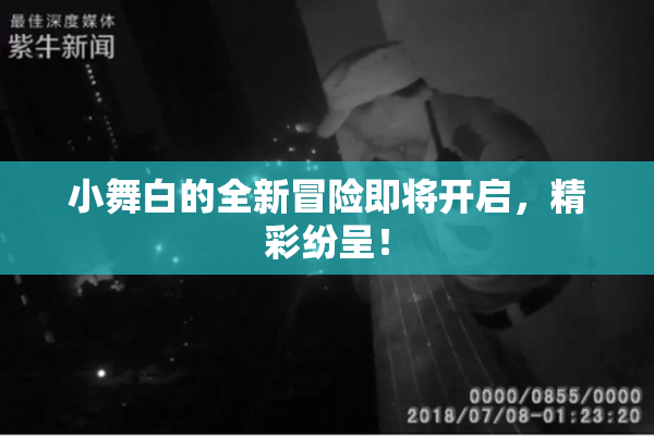 小舞白的全新冒险即将开启，精彩纷呈！