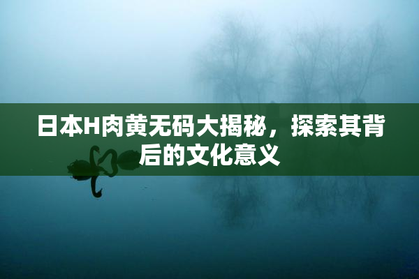 日本H肉黄无码大揭秘，探索其背后的文化意义