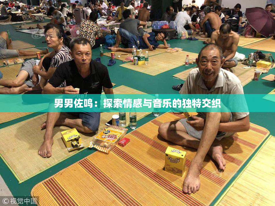 男男佐鸣：探索情感与音乐的独特交织