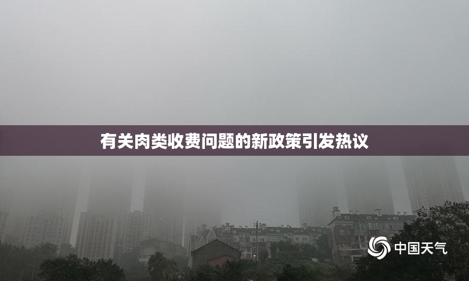 有关肉类收费问题的新政策引发热议