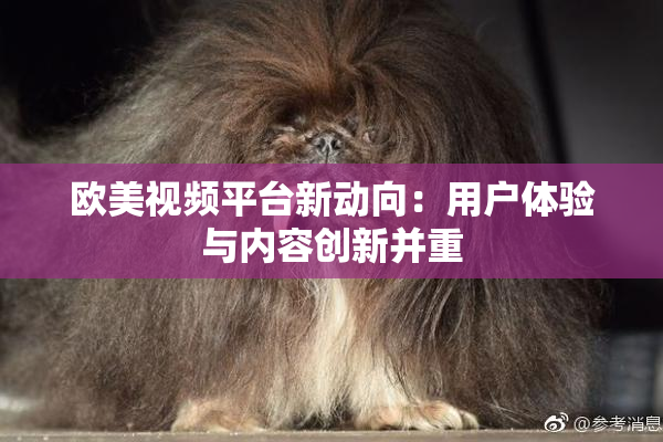 欧美视频平台新动向：用户体验与内容创新并重