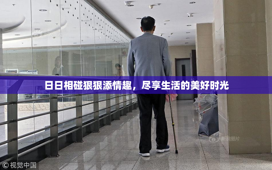 日日相碰狠狠添情趣，尽享生活的美好时光