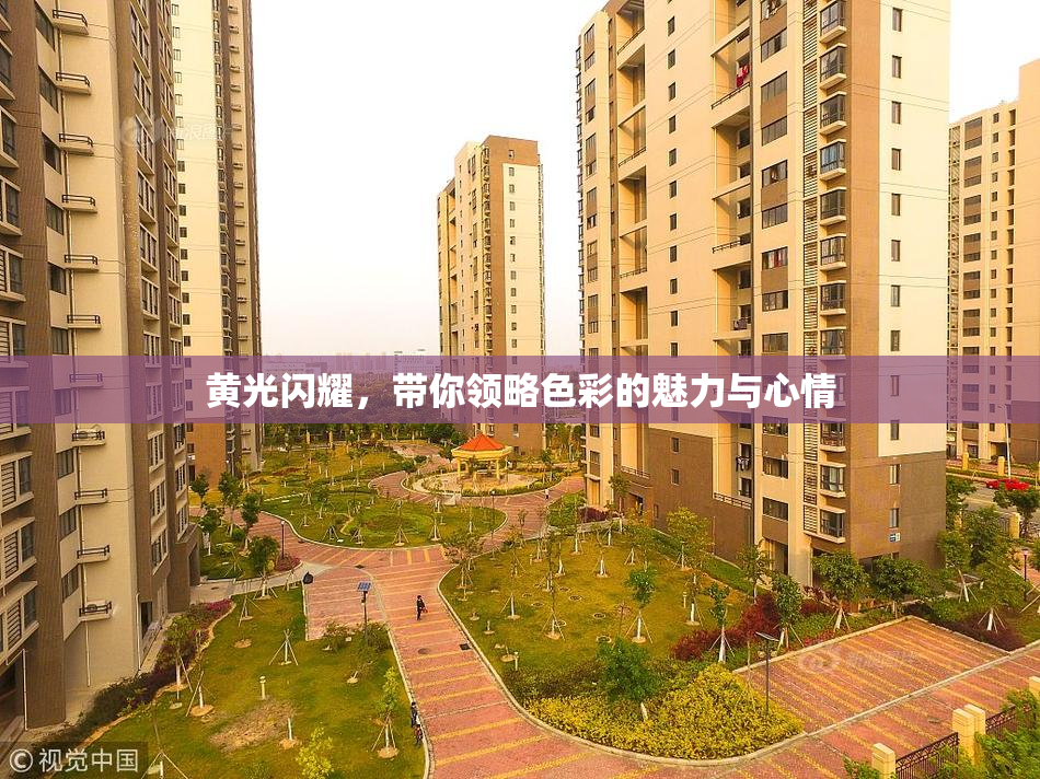 黄光闪耀，带你领略色彩的魅力与心情