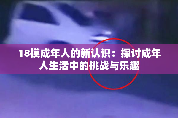 18摸成年人的新认识：探讨成年人生活中的挑战与乐趣