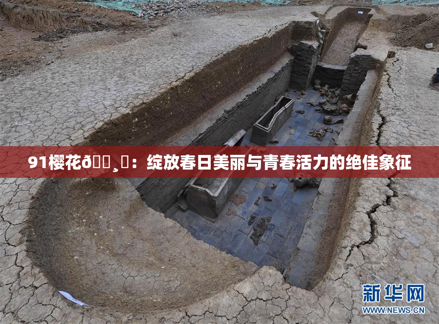 91樱花🌸‌：绽放春日美丽与青春活力的绝佳象征