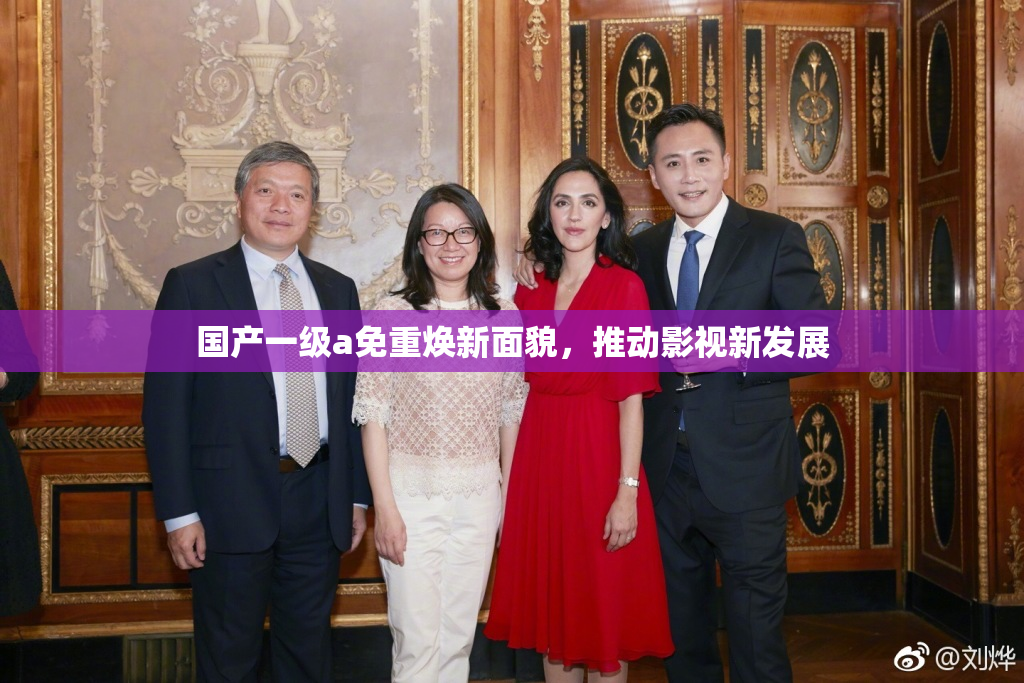 国产一级a免重焕新面貌，推动影视新发展