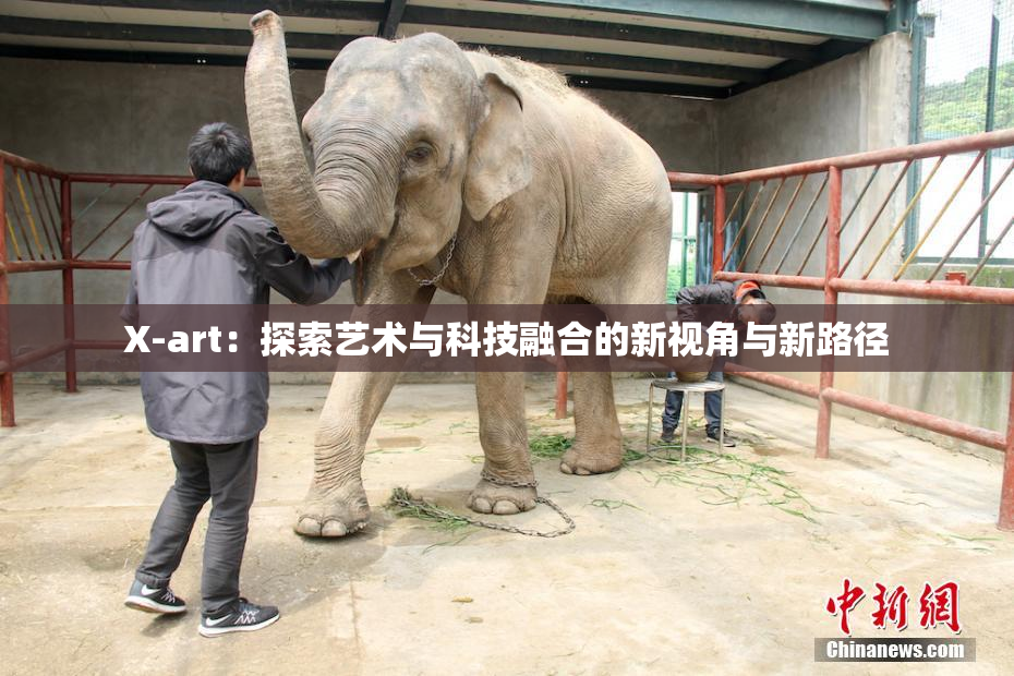 X-art：探索艺术与科技融合的新视角与新路径