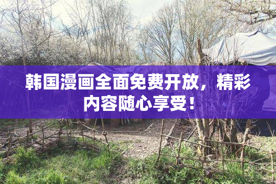 韩国漫画全面免费开放，精彩内容随心享受！