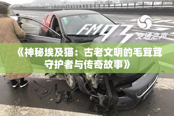 《神秘埃及猫：古老文明的毛茸茸守护者与传奇故事》