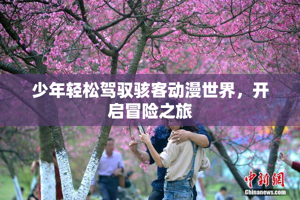 少年轻松驾驭骇客动漫世界，开启冒险之旅
