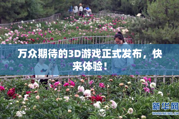 万众期待的3D游戏正式发布，快来体验！