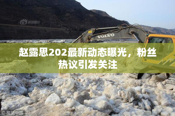赵露思202最新动态曝光，粉丝热议引发关注