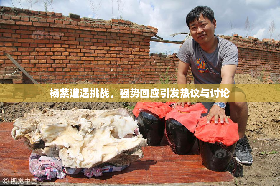 杨紫遭遇挑战，强势回应引发热议与讨论