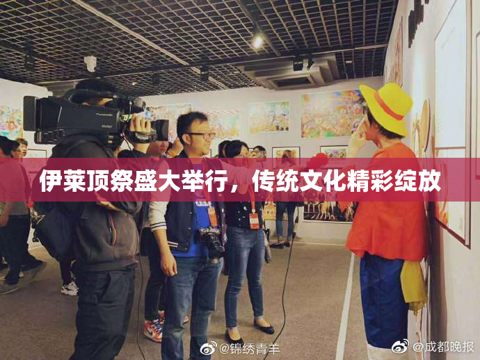 伊莱顶祭盛大举行，传统文化精彩绽放