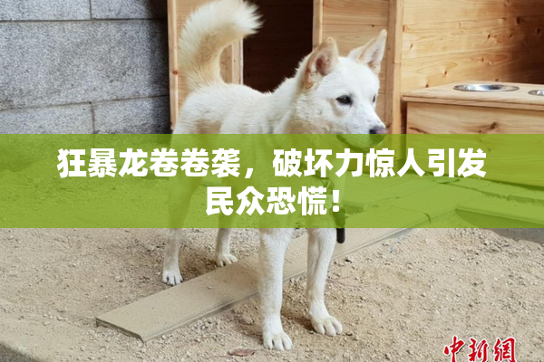 狂暴龙卷卷袭，破坏力惊人引发民众恐慌！