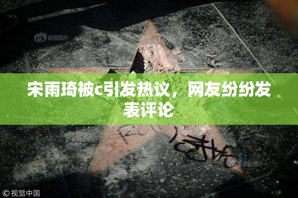 宋雨琦被c引发热议，网友纷纷发表评论
