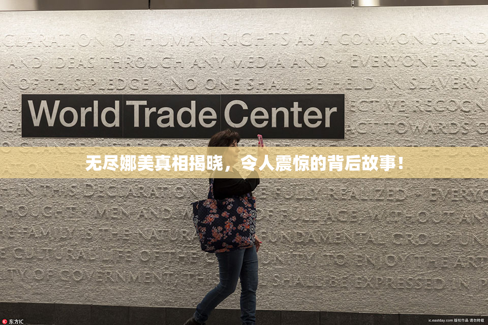 无尽娜美真相揭晓，令人震惊的背后故事！