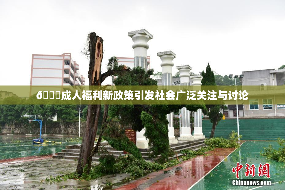 🔞成人福利新政策引发社会广泛关注与讨论
