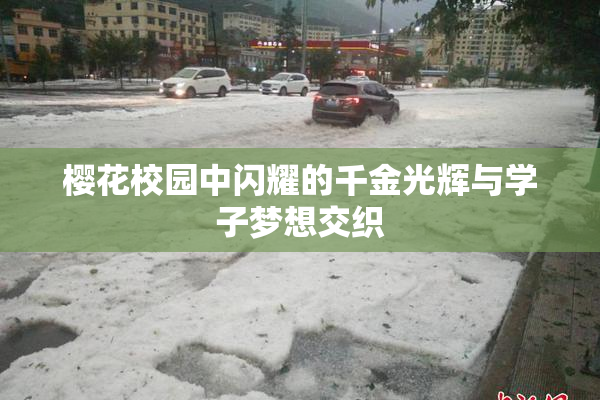 樱花校园中闪耀的千金光辉与学子梦想交织