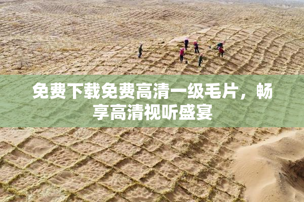 免费下载免费高清一级毛片，畅享高清视听盛宴