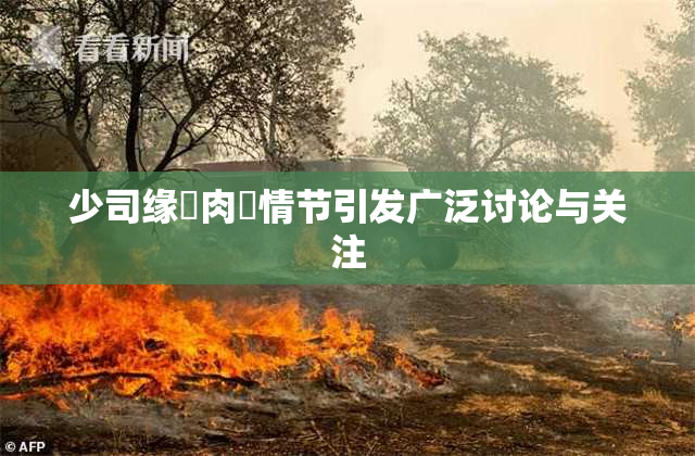 少司缘婬肉泬情节引发广泛讨论与关注