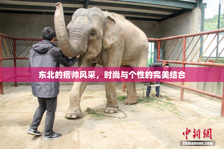 东北的痞帅风采，时尚与个性的完美结合