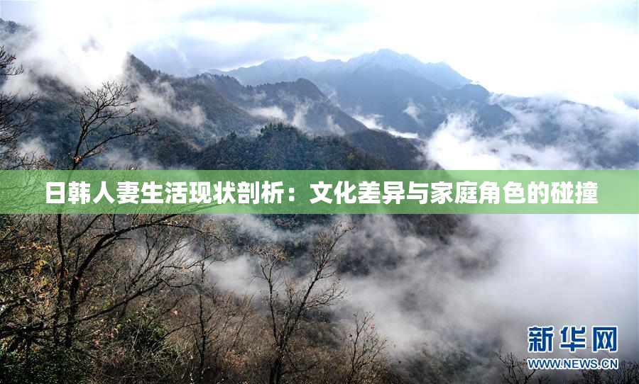 日韩人妻生活现状剖析：文化差异与家庭角色的碰撞