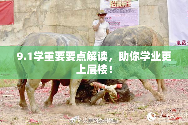 9.1学重要要点解读，助你学业更上层楼！