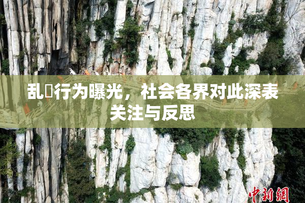 乱婬行为曝光，社会各界对此深表关注与反思
