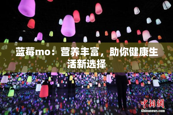 蓝莓mo：营养丰富，助你健康生活新选择