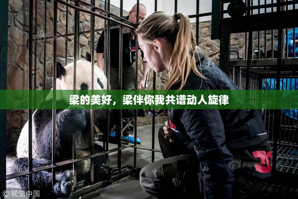 梁的美好，梁伴你我共谱动人旋律