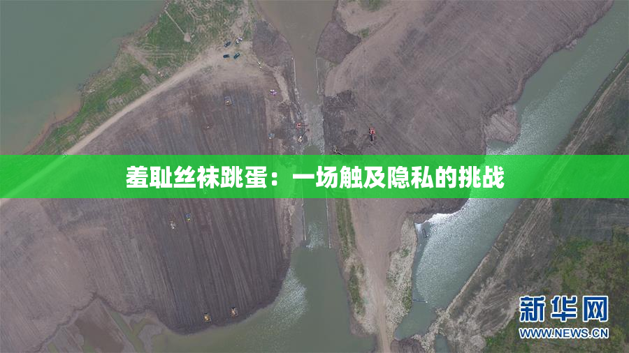 羞耻丝袜跳蛋：一场触及隐私的挑战