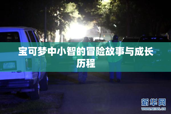 宝可梦中小智的冒险故事与成长历程