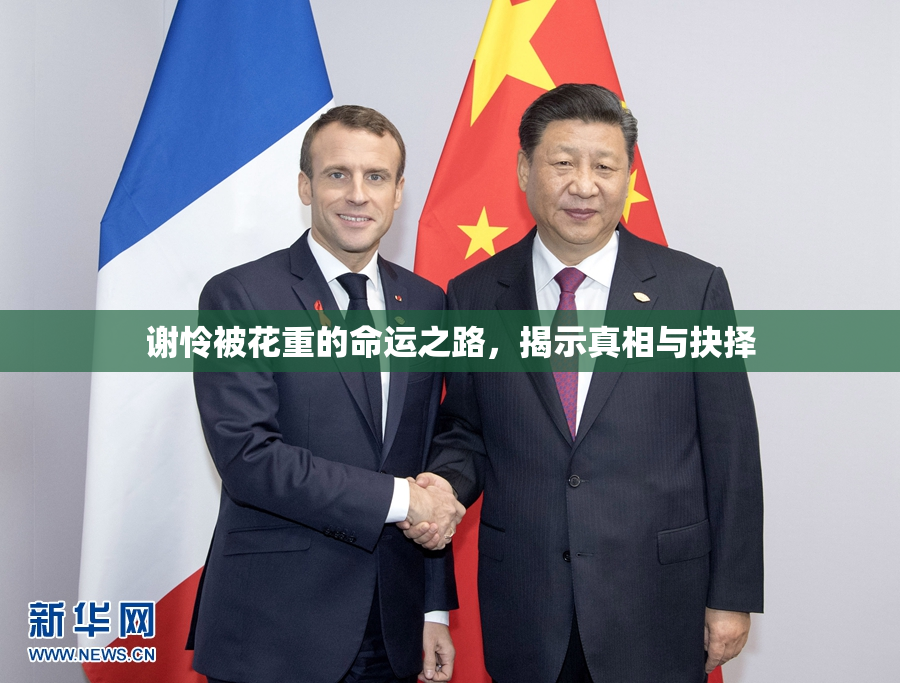 谢怜被花重的命运之路，揭示真相与抉择