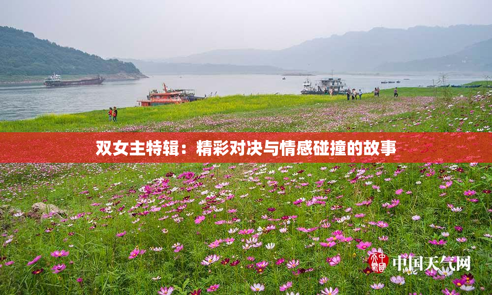 双女主特辑：精彩对决与情感碰撞的故事