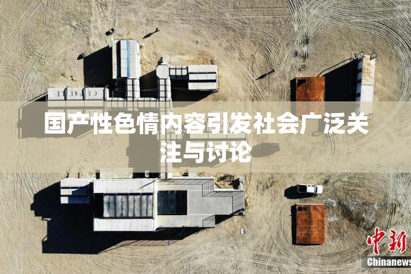 国产性色情内容引发社会广泛关注与讨论